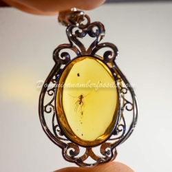 Diptera On Silver Pendant Base 2